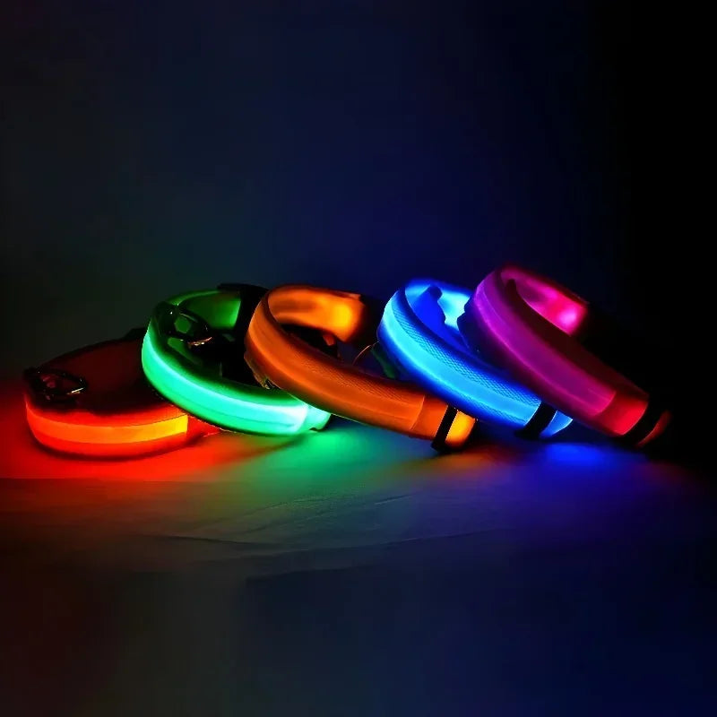LED Dog Collar — Rechargeable, Waterproof & Visible at Night