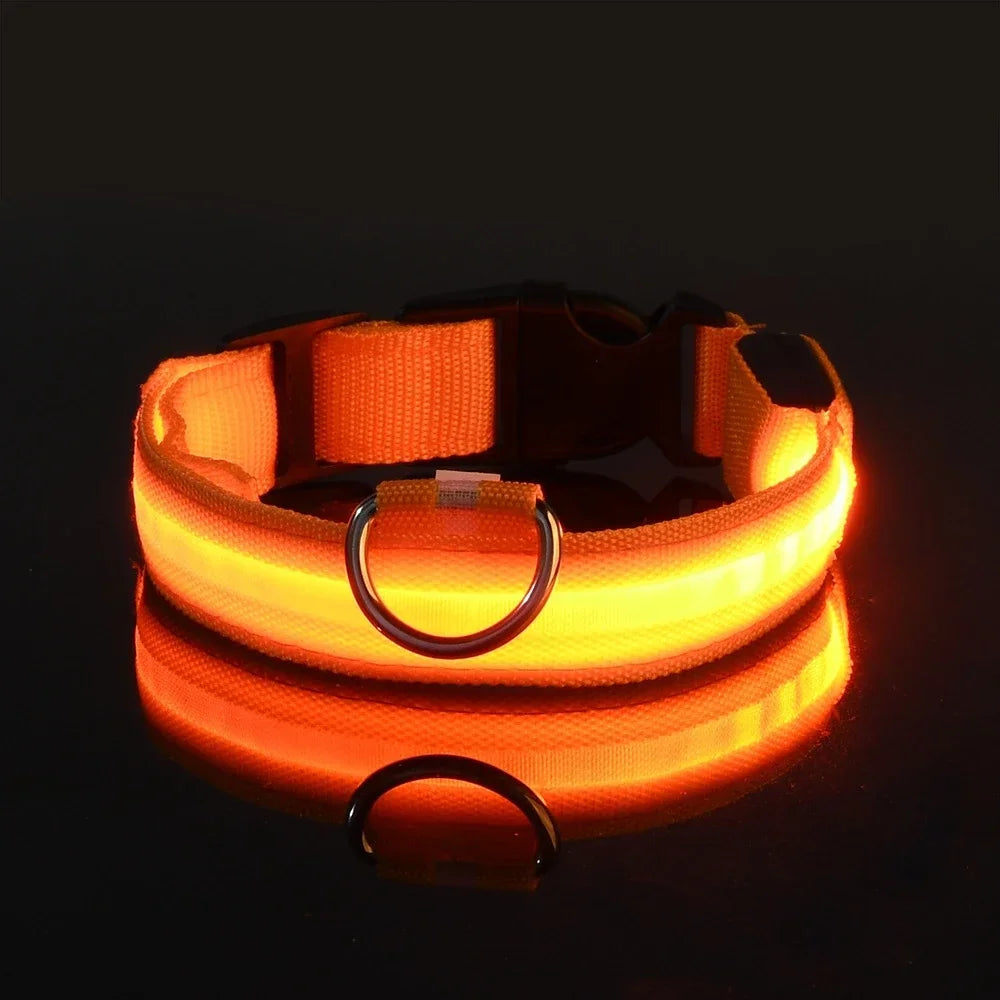 LED Dog Collar — Rechargeable, Waterproof & Visible at Night
