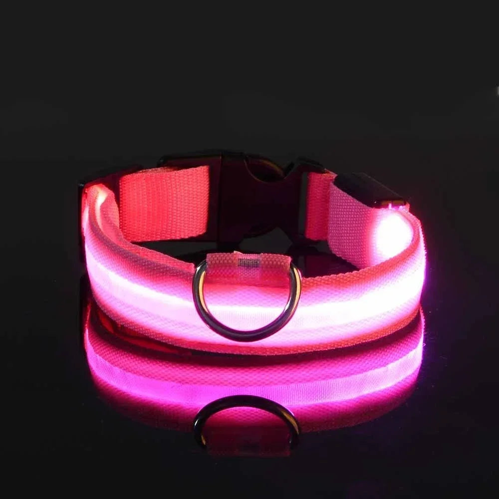 LED Dog Collar — Rechargeable, Waterproof & Visible at Night