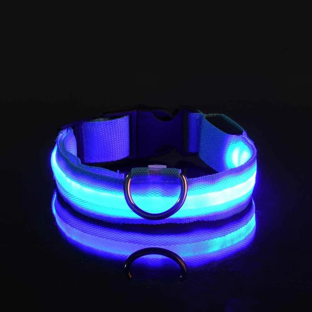 LED Dog Collar — Rechargeable, Waterproof & Visible at Night