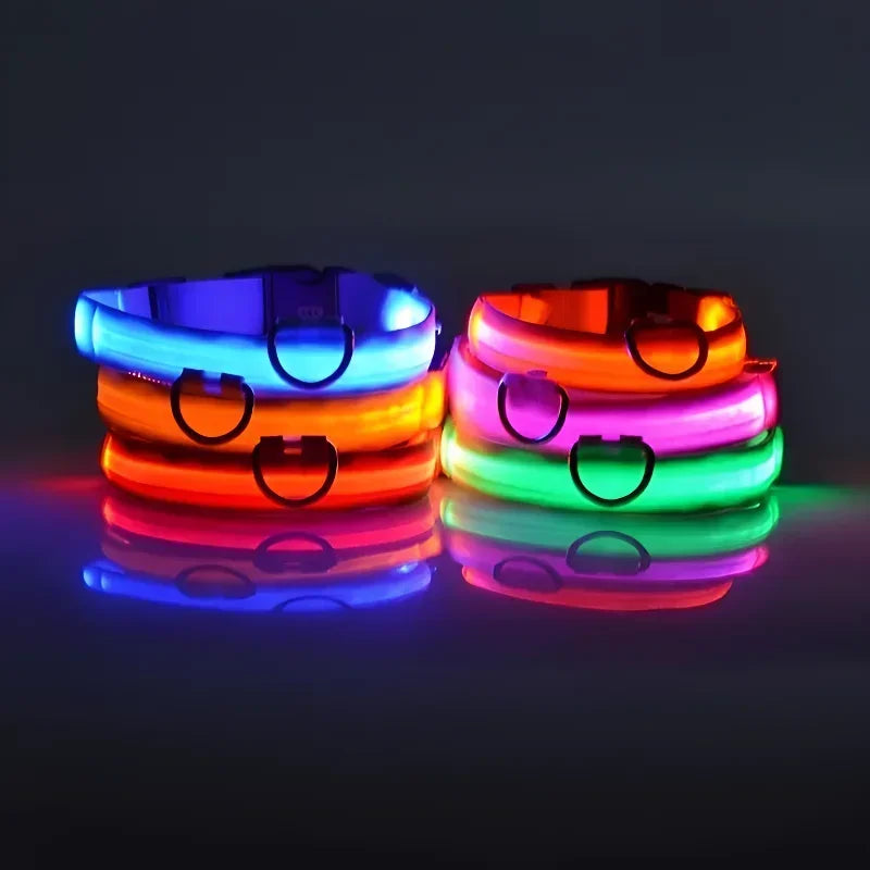 LED Dog Collar — Rechargeable, Waterproof & Visible at Night