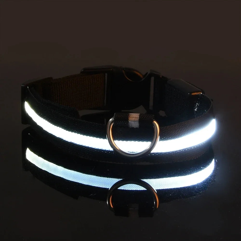 LED Dog Collar — Rechargeable, Waterproof & Visible at Night