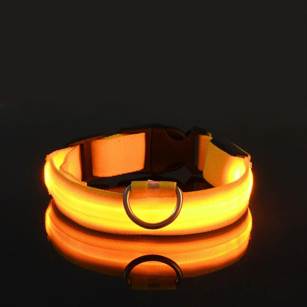 LED Dog Collar — Rechargeable, Waterproof & Visible at Night