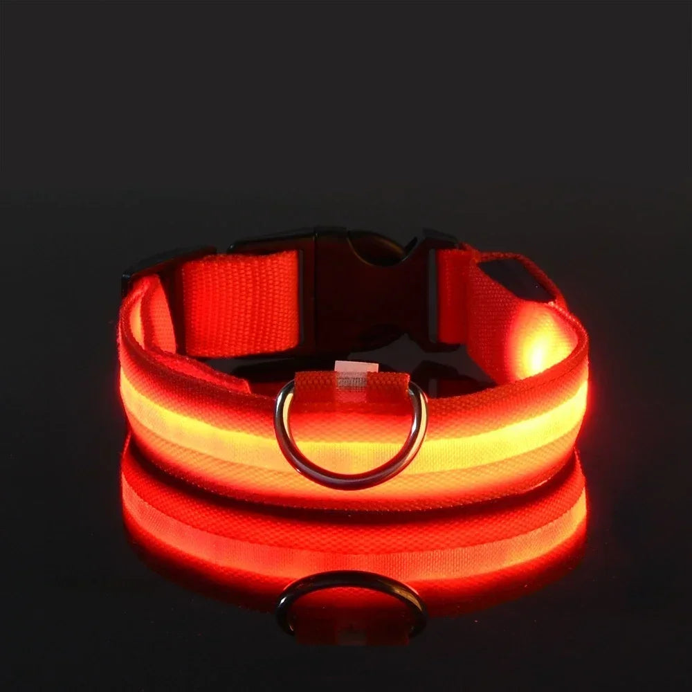 LED Dog Collar — Rechargeable, Waterproof & Visible at Night
