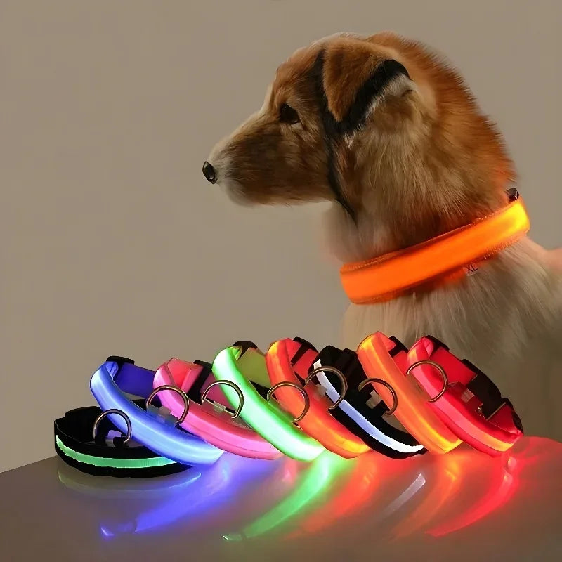 LED Dog Collar — Rechargeable, Waterproof & Visible at Night