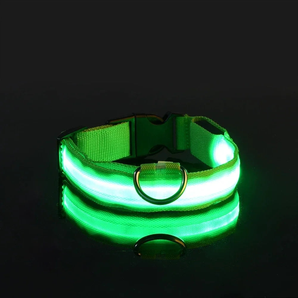 LED Dog Collar — Rechargeable, Waterproof & Visible at Night